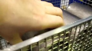 Выгрузка мытых образцов (от масляных загрязнений)