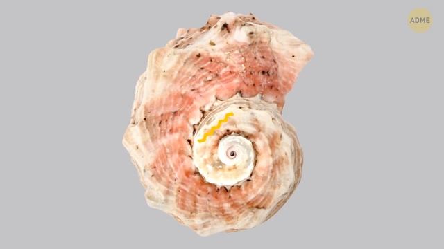 10 ответов на самые популярные вопросы, которые задавали и вы смотреть онлайн