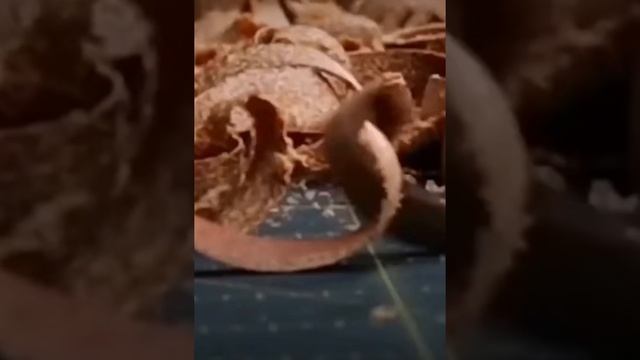 процесс изготовления изделия из кожи