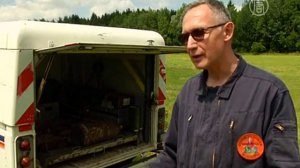 Снаряды Первой мировой до сих забирают жизни