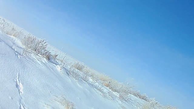 Бессмертный заяц..... Охота на зайца русака! 2019-2020г. смотреть онлайн