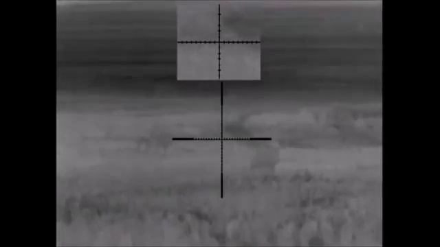 Промазал по лисе тепловизор Pulsar Apex XD75 смотреть онлайн