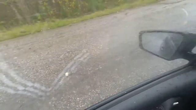 бешеная лиса на трассе Вел.Устюг - Сыктывкар/кормлю лисёнка Питерскими сосисками/возвращение домой смотреть онлайн