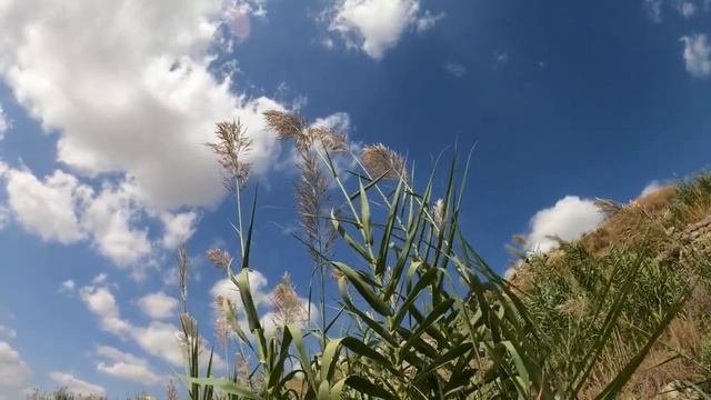 Почему НЕЛЬЗЯ ВОЗВРАЩАТЬ бывшую, и ПОЗВОЛЯТЬ ей ВЕРНУТЬСЯ?