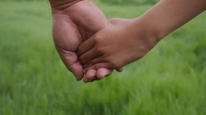 ФУТАЖ  ОТЕЦ БЕРЁТ СЫНА ЗА РУКУ