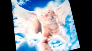 песня Симбы старшего Simba старший всегда останется в наших сердцах♥️♥️♥️♥️♥️♥️♥️♥️♥️