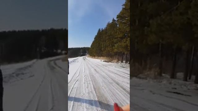 Дорога в Лесную сказку в Белокурихе. смотреть онлайн