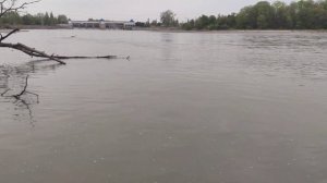 рыбалка Река Терек Раздольное Моздок