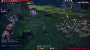 Tera quest: Faeries in a fix(lvl13).mp4