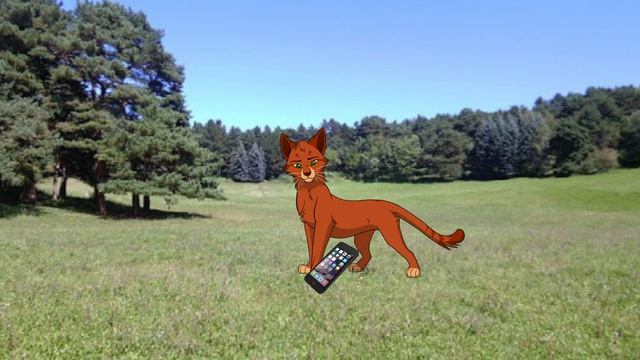 В ГОСТЯХ У КОТОВ-ВОИТЕЛЕЙ смотреть онлайн