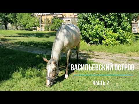 Санкт-Петербург, Васильевский остров. Велопрогулка (часть 2/5)