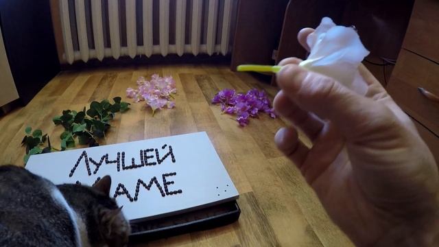 Подарок на 8 марта своими руками)!Мама,будет приятно удивлена)