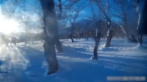 Ямаха Нитро 2018 Камчатка Снежная Долина