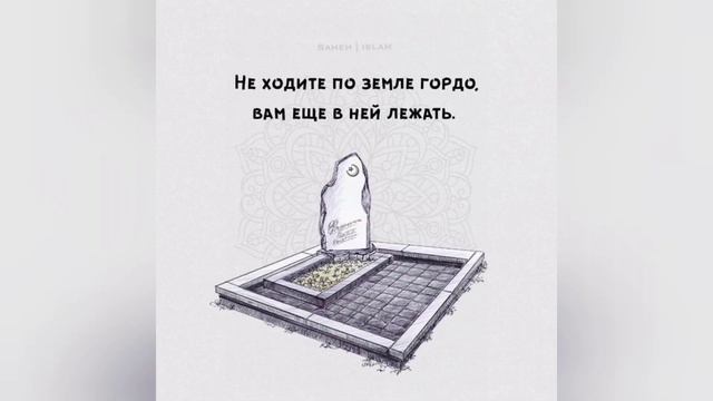 Почему?. #islam #alhamdulillah #коран #trending