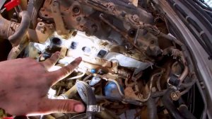 Toyota Hilux EGR and INTAKE CLEAN