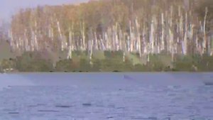 Лодка INTEX SEAHAWK 3 и вёсла.