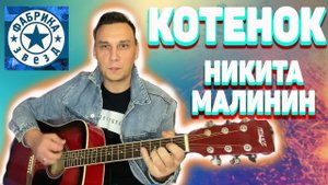 Котенок Никита Малинин Фабрика звезд