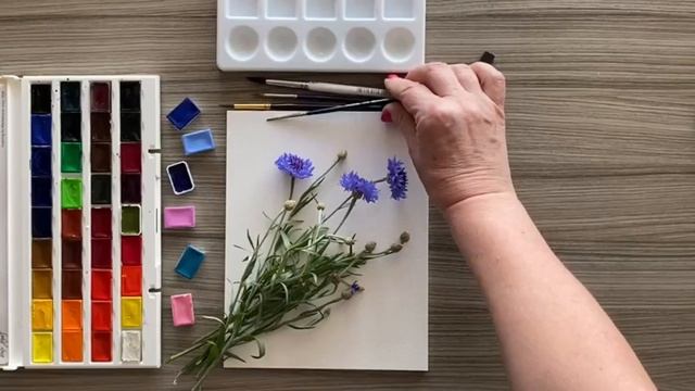 Рисуем васильки акварелью. Рисование для детей. смотреть онлайн