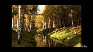 Санаторий Сосновый бор - Санатории Беларуси