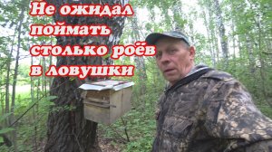 СОРЕВНОВАНИЕ 2023 Г. ПО ЛОВЛЕ РОЁВ, ПОЙМАЛ ПЕРВЫЕ РОИ И РАССАДИЛ В УЛЬЯ НА ПАСЕКЕ.