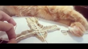 Модель Внутреннего Строения Тела Человека. 3 класс. Сам в ШОКе как круто получилось!!!