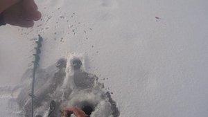 ЗИМНЯЯ РЫБАЛКА.СПОРТИВНАЯ МОРМЫШКА.ТАКТИКА ЛОВЛИ В ГЛУХОЗИМЬЕ