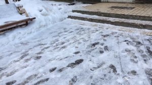 Жук-Скоробей