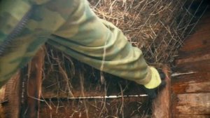 5 ошибок при строительстве клеток для кролика, сенники в клетках  | Дневник Кроликовода №53 ?