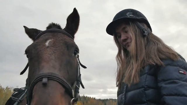 Конные прогулки в Ладожской Усадьбе смотреть онлайн