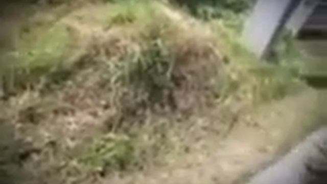 Напоминание для всех задумайтесь смотреть онлайн