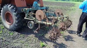 т-25 на пропашке картофеля