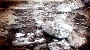 Побег из ледяного плена. Гибель и спасение экспедиции Брусилова