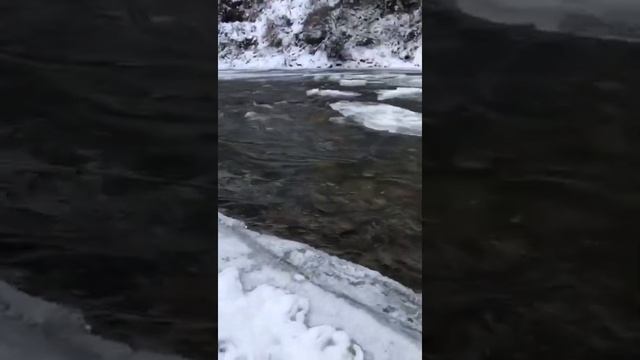 Рыбалка на реке Элекмонар. Чемал. Катунь. Алтай.