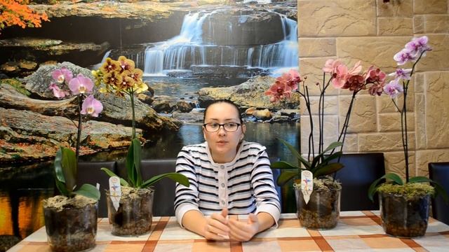 Видео обращение к моим подписчикам! (14,12,16) смотреть онлайн