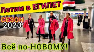 Летим в ЕГИПЕТ. НОВОЕ путешествие! Отличная ЦЕНА. Будет ЖАРКО!