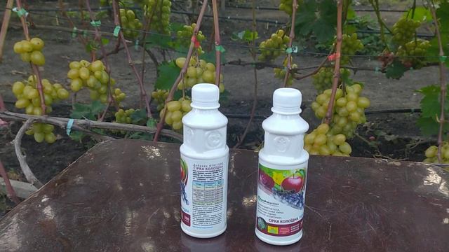 Колоидная сера от Квантума смотреть онлайн