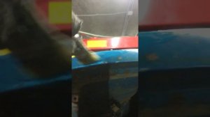 Восстановление лакокрасочного покрытия автомобиля своими руками!