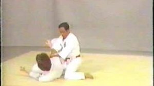 Иссин Рю Каратэ - Традиционная спарринговая техника