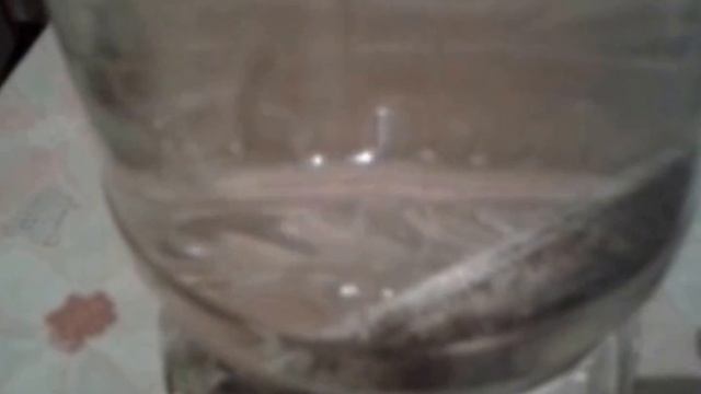 Вода с магнием = живая вода смотреть онлайн