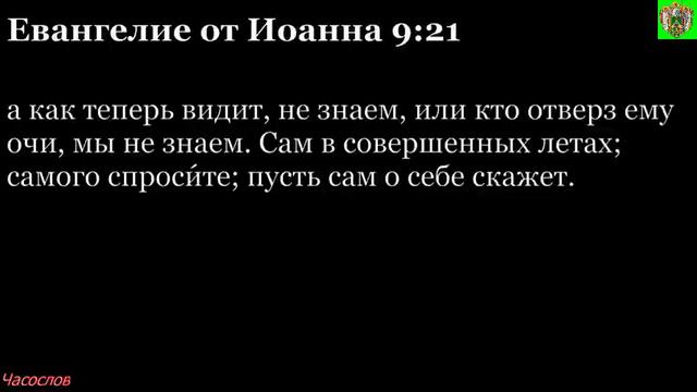 Аудиокнига. Библия. Новый Завет. ЕВАНГЕЛИЕ ОТ ИОАННА. Глава 9 смотреть онлайн
