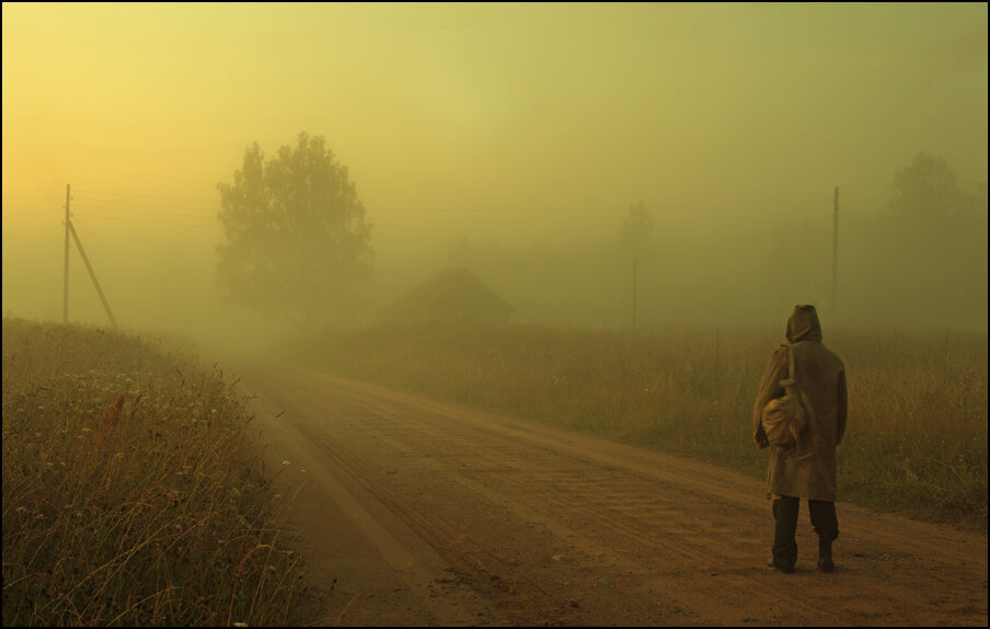 Странник в поле