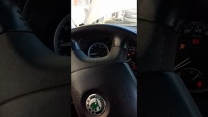 Промывка инжектора skoda roomster LAVR ML 101