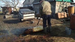 мойка туши поросёнка,мойкой,кёрхер.