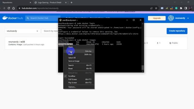 Linux Final Docker push & pull смотреть онлайн