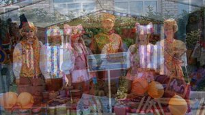 шарья костромская область пыщуг костромской области