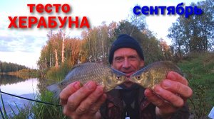 Ловим КАРАСЯ в СЕНТЯБРЕ. Тесто ХЕРАБУНА. Вечерний дуплет.