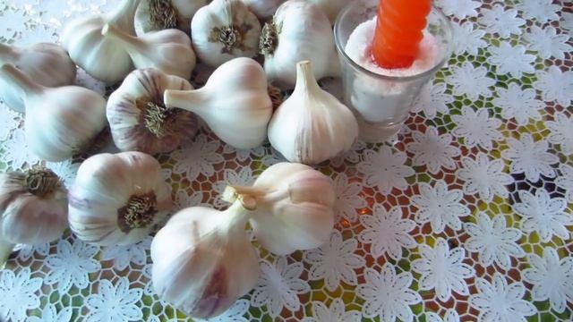 Обработка и хранение чеснока в банках ! смотреть онлайн