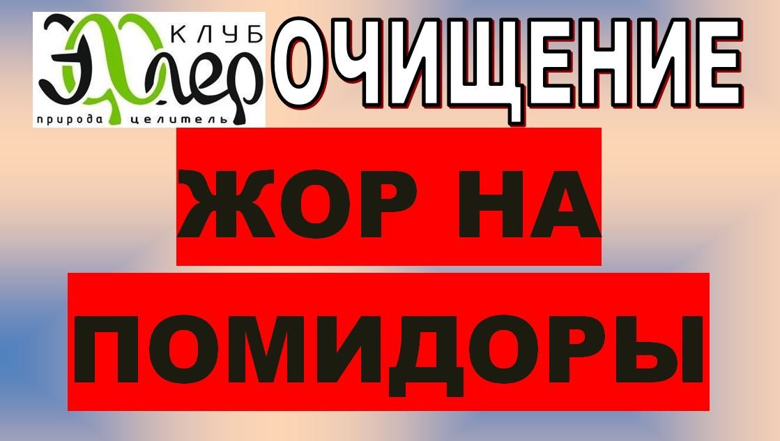 ЖОР НА ПОМИДОРЫ ПРИ ПЕРЕХОДЕ НА СЫРОЕДЕНИЕ. ЦЕННОСТЬ РАССОЛА. МИНЕРАЛЫ или ИСТОЩЕНИЕ БУФЕРНОЙ СИЛЫ?