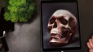 Череп рисунок. PROCREATE . Портрет. Уроки рисования.