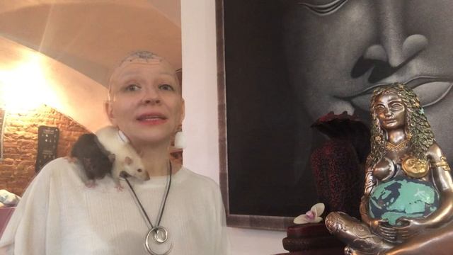 Карты дня 17 мая смотреть онлайн